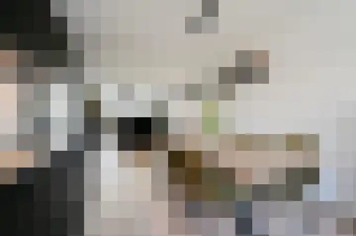Cromhoutlaan 28 Rijswijk thumbnail 12
