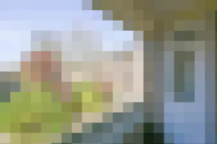 Cromhoutlaan 28 Rijswijk thumbnail 16