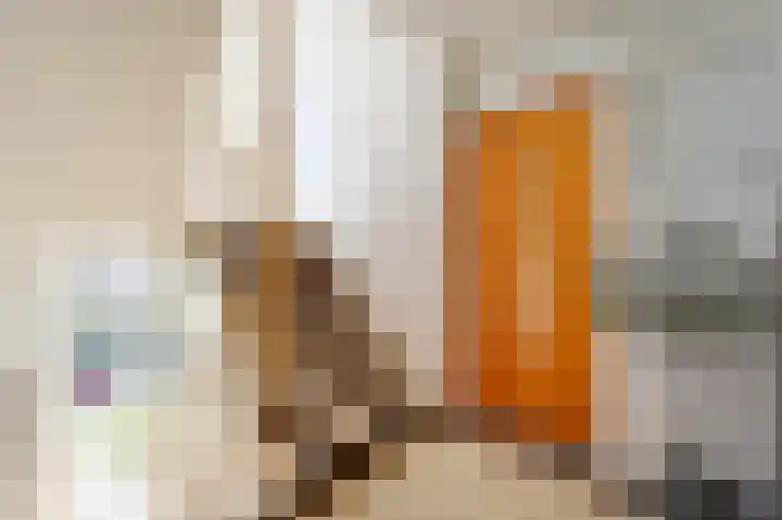 Cromhoutlaan 28 Rijswijk thumbnail 27