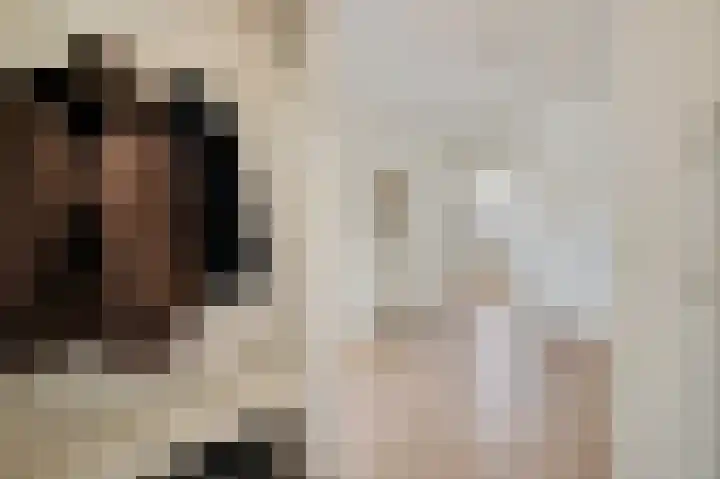 Cromhoutlaan 28 Rijswijk thumbnail 6