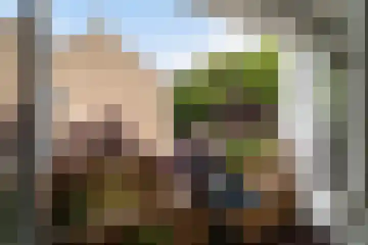 Cromhoutlaan 44 Rijswijk thumbnail 16