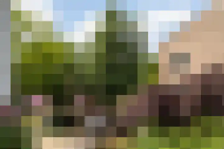 Cromhoutlaan 44 Rijswijk thumbnail 17