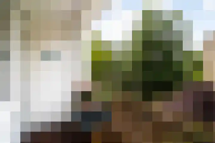 Cromhoutlaan 44 Rijswijk thumbnail 26