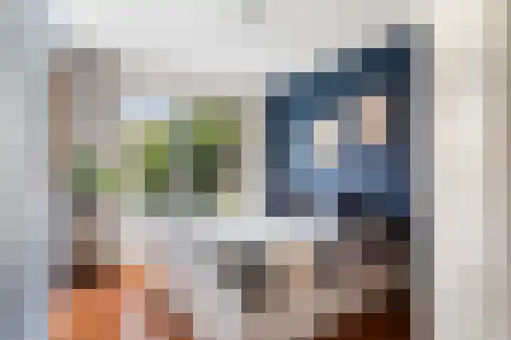 Cromhoutlaan 44 Rijswijk thumbnail 30