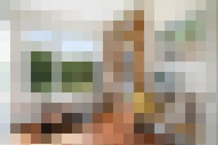 Cromhoutlaan 44 Rijswijk thumbnail 32