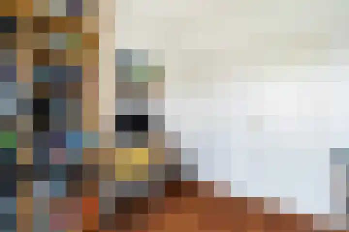Cromhoutlaan 44 Rijswijk thumbnail 33