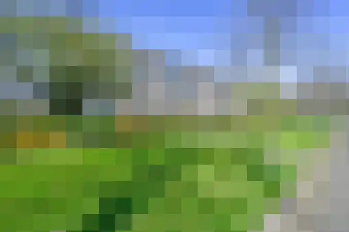 Cromhoutlaan 44 Rijswijk thumbnail 37