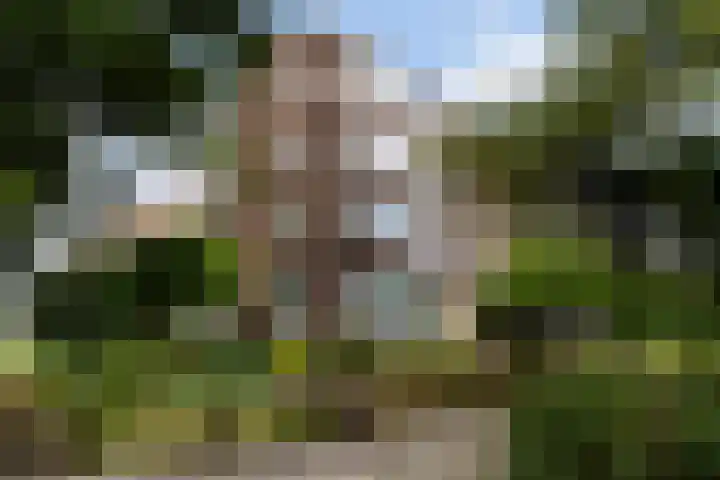 Cromhoutlaan 44 Rijswijk thumbnail 45