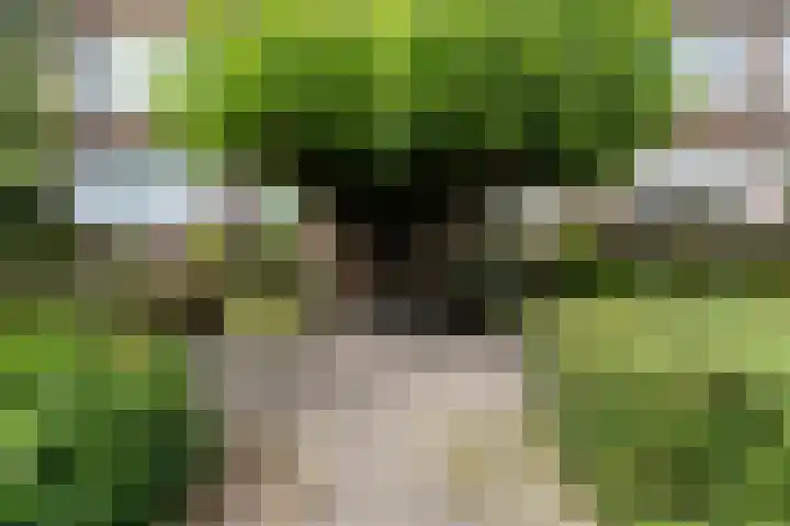 Cromhoutlaan 44 Rijswijk thumbnail 5