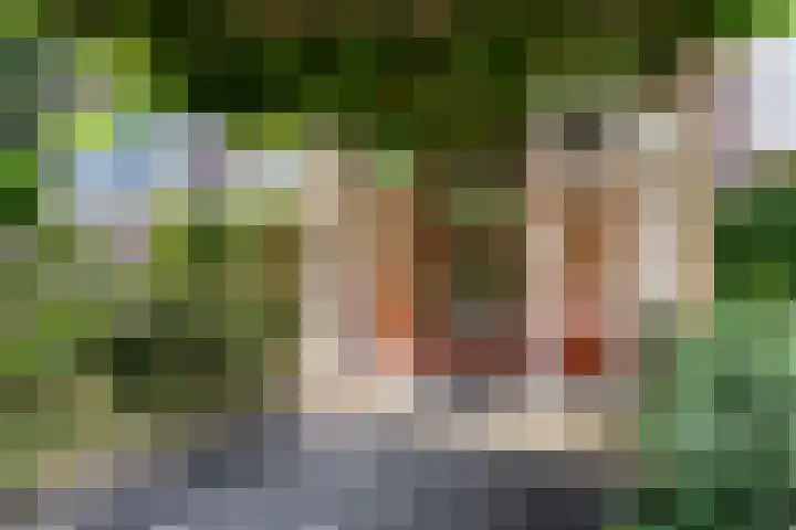 Cromhoutlaan 44 Rijswijk thumbnail 6