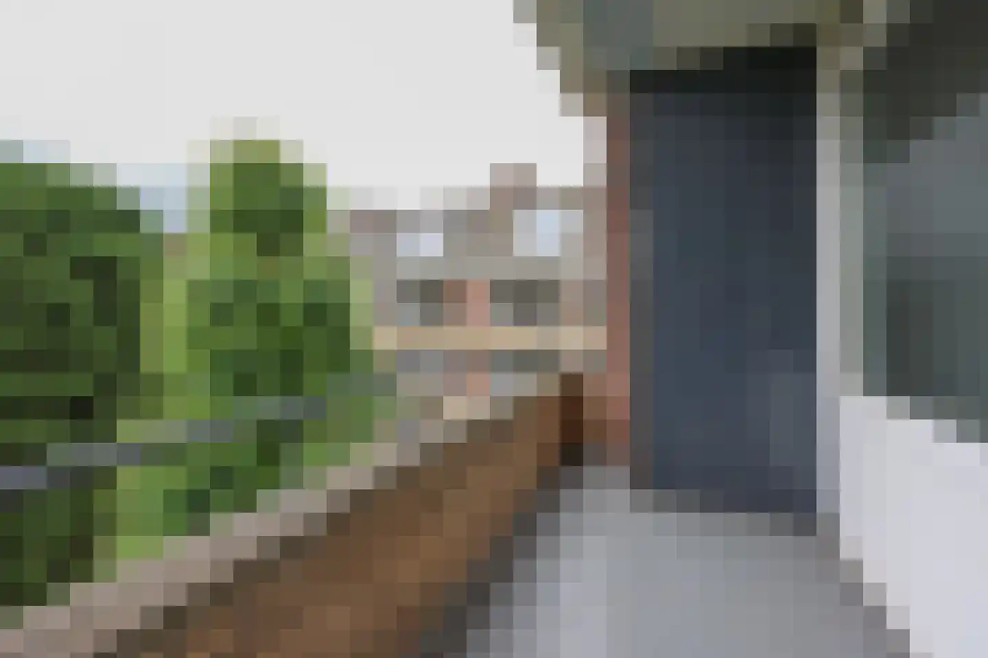 Cromhoutlaan 93 Rijswijk thumbnail 14