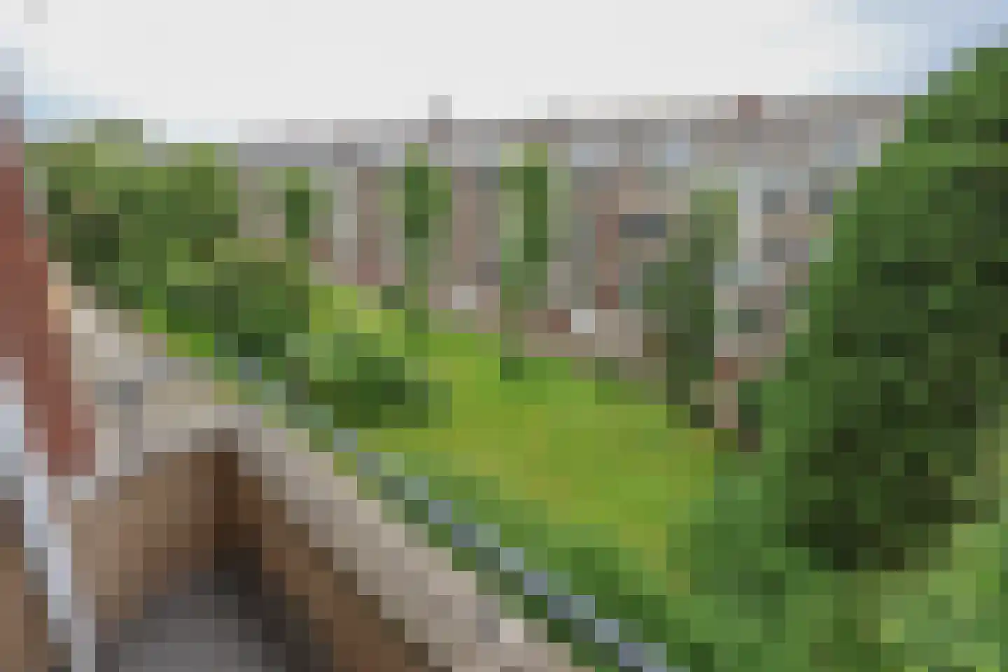 Cromhoutlaan 93 Rijswijk thumbnail 15