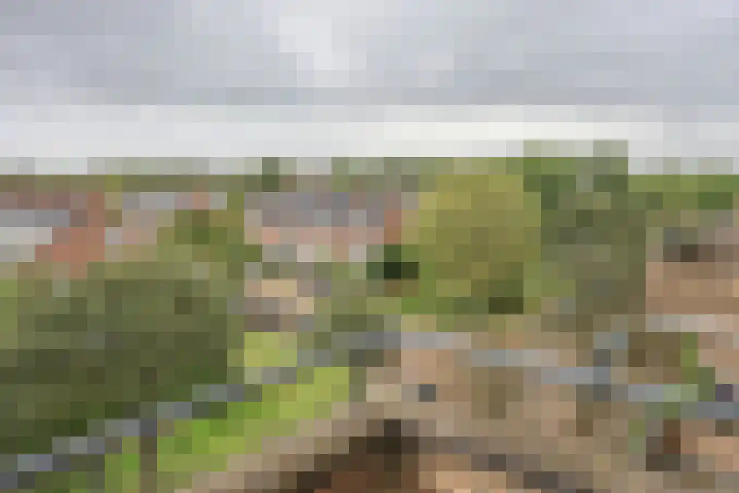 Cromhoutlaan 93 Rijswijk thumbnail 4