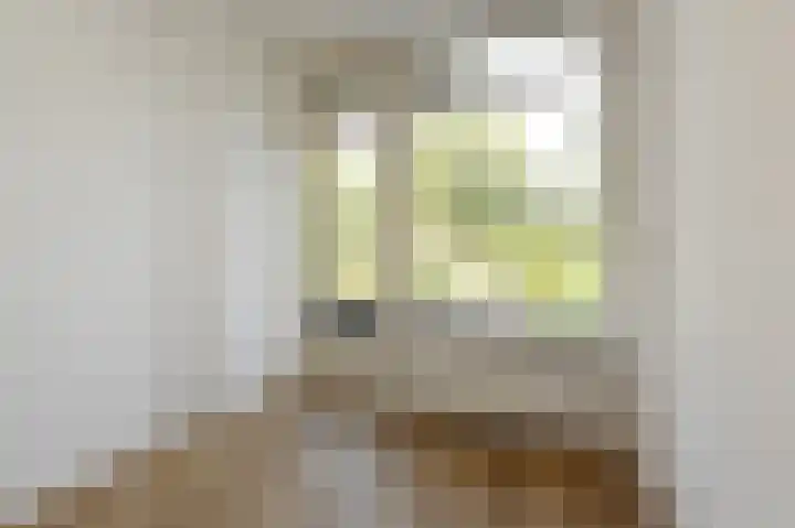 Cromhoutlaan 99 Rijswijk thumbnail 12