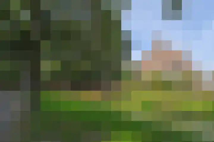 Cromhoutlaan 99 Rijswijk thumbnail 24