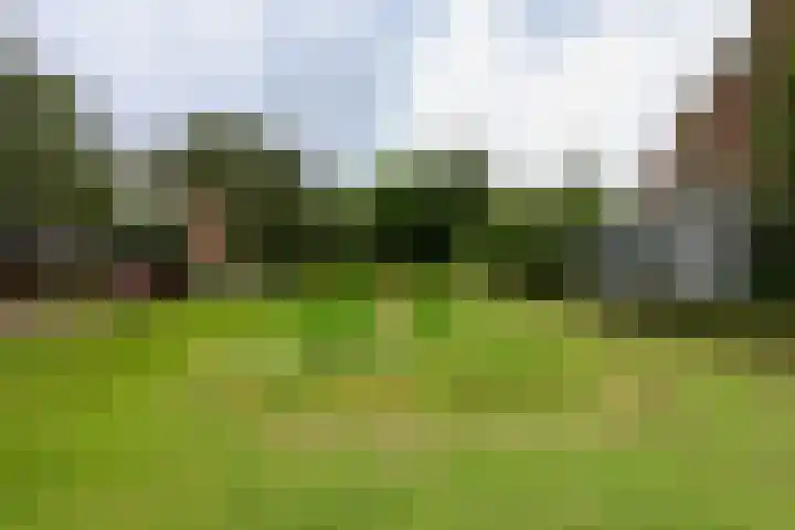 Cromhoutlaan 99 Rijswijk thumbnail 26