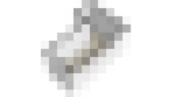 Cromhoutlaan 99 Rijswijk thumbnail 30