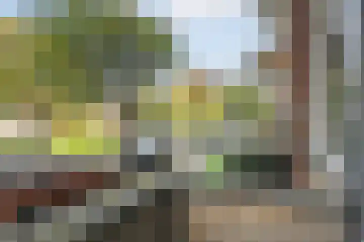 Cromhoutlaan 99 Rijswijk thumbnail 6