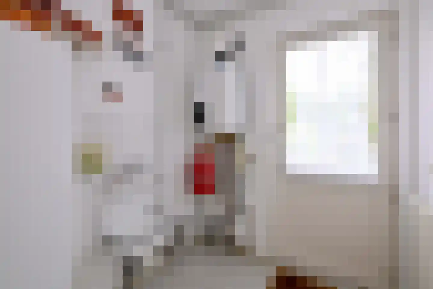 Cromhoutstraat 21 Brummen thumbnail 13