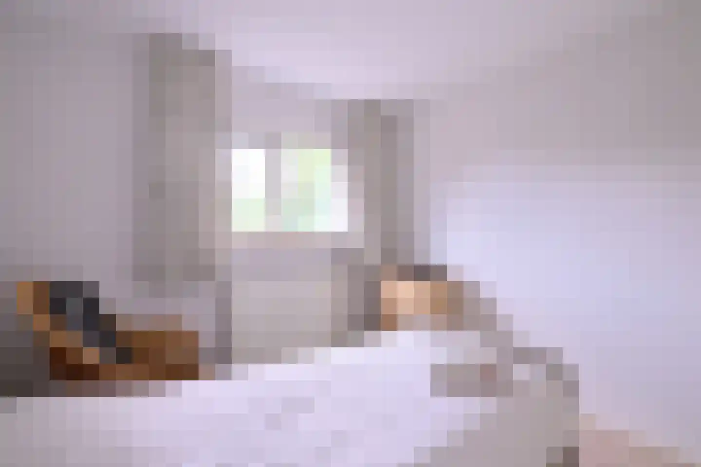 Cromhoutstraat 21 Brummen thumbnail 16