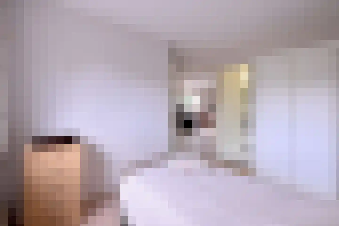 Cromhoutstraat 21 Brummen thumbnail 17
