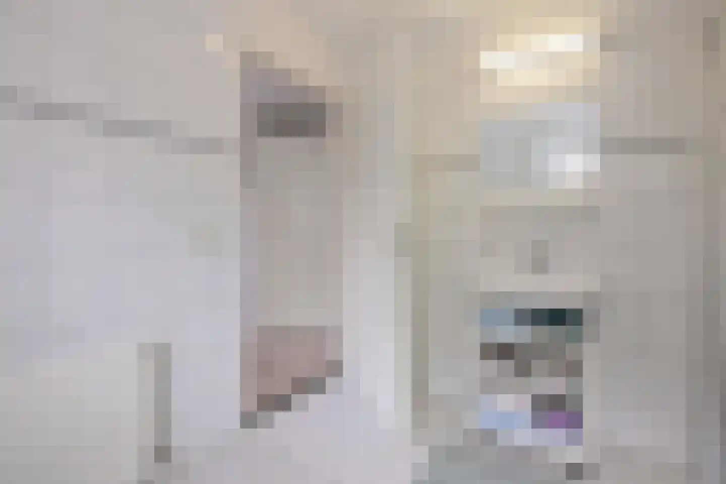 Cromhoutstraat 21 Brummen thumbnail 23
