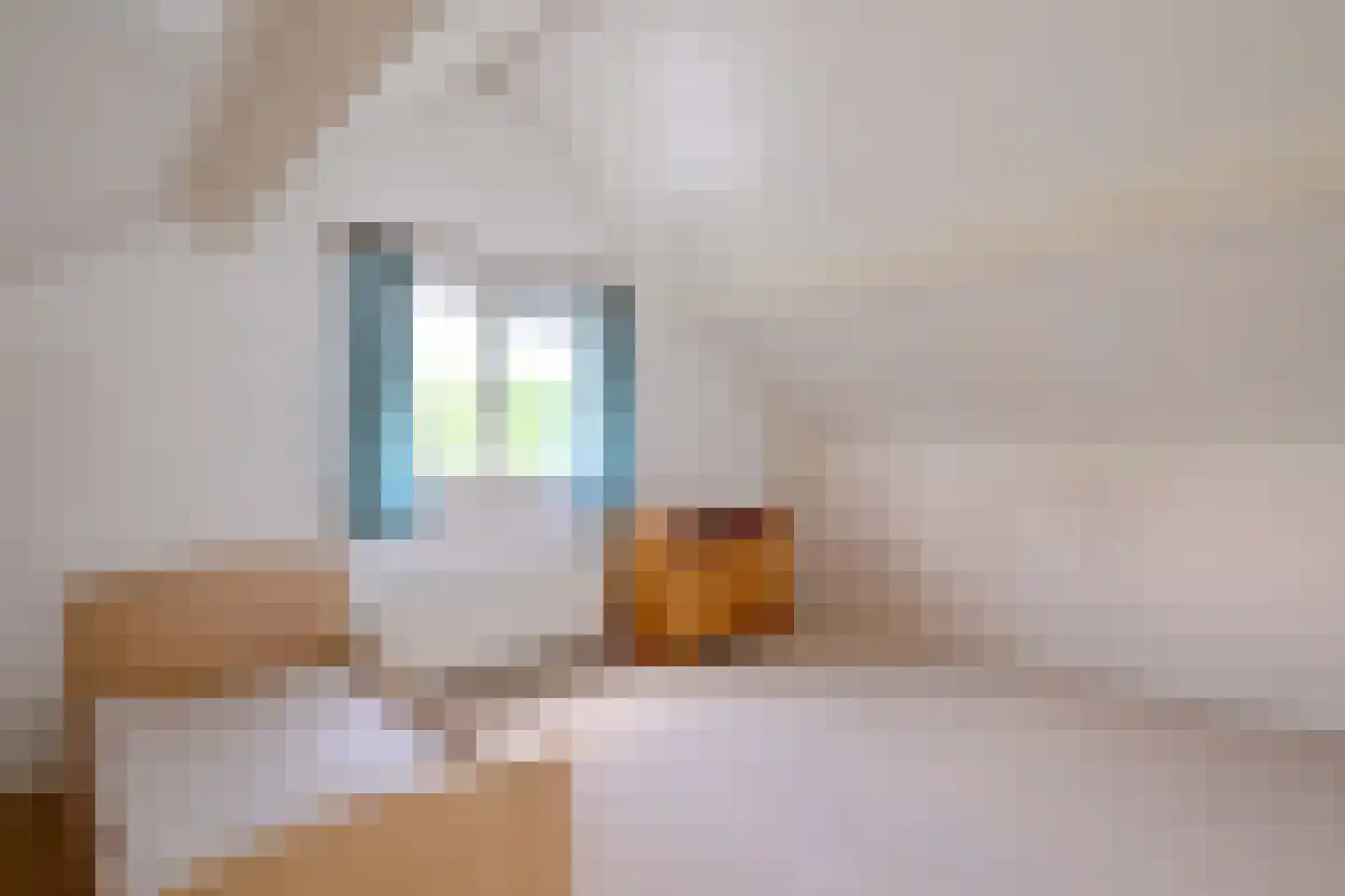 Cromhoutstraat 21 Brummen thumbnail 29