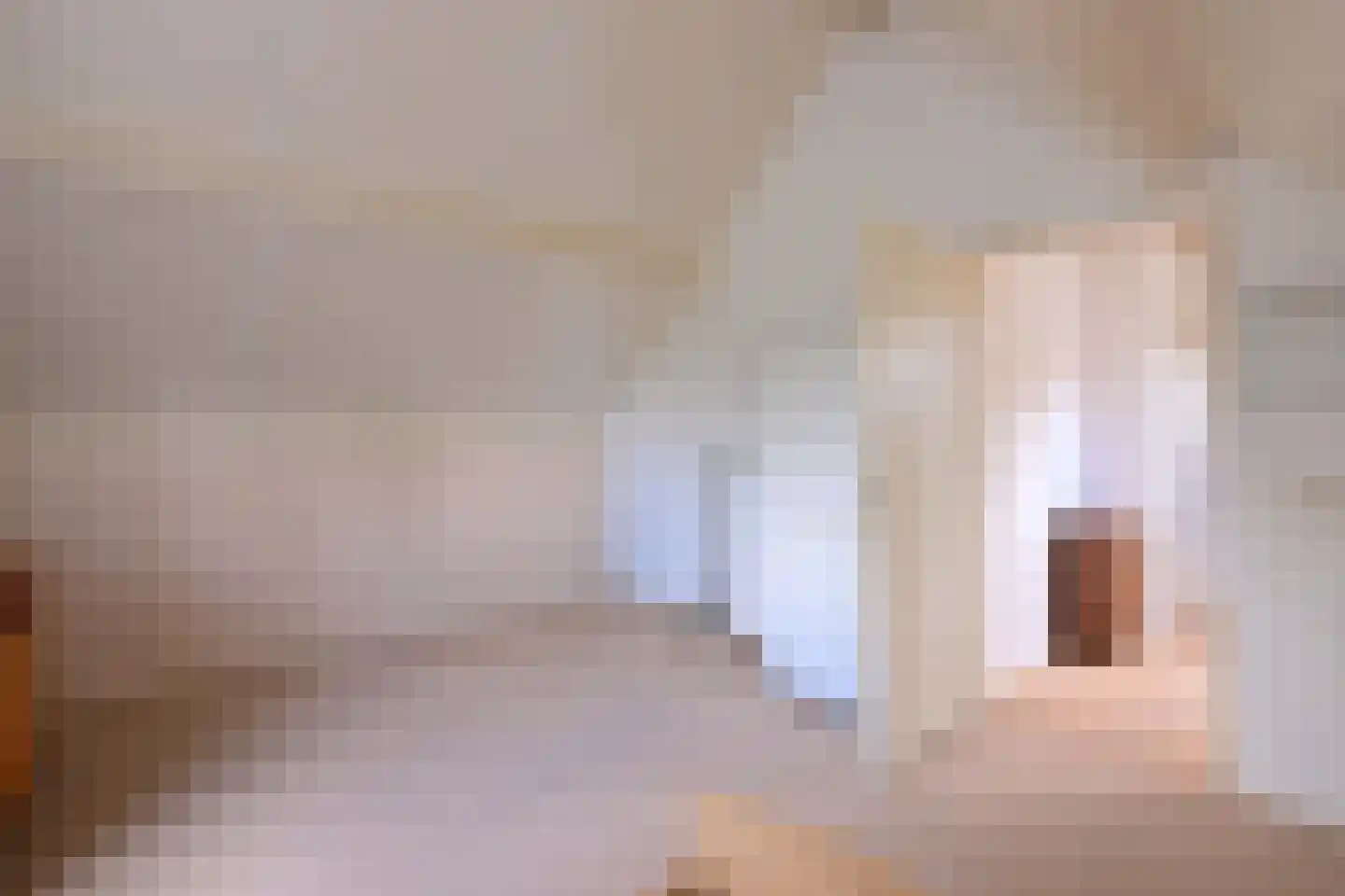 Cromhoutstraat 21 Brummen thumbnail 32