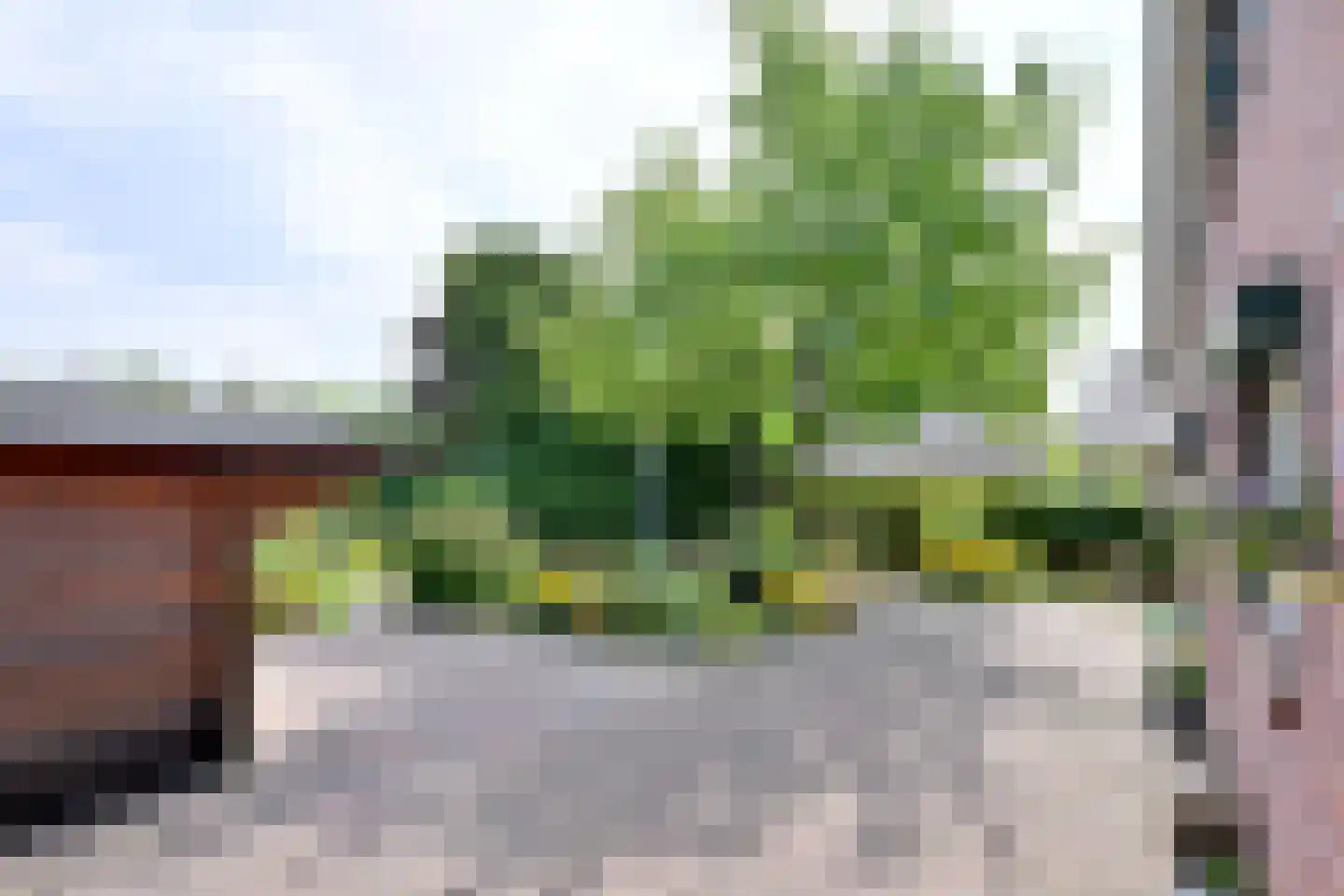 Cromhoutstraat 21 Brummen thumbnail 36
