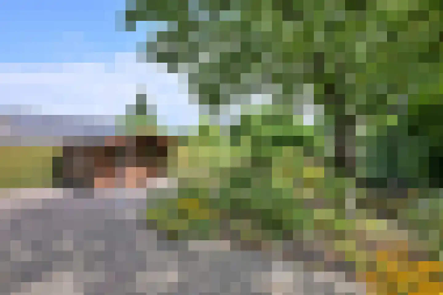 Cromhoutstraat 21 Brummen thumbnail 37