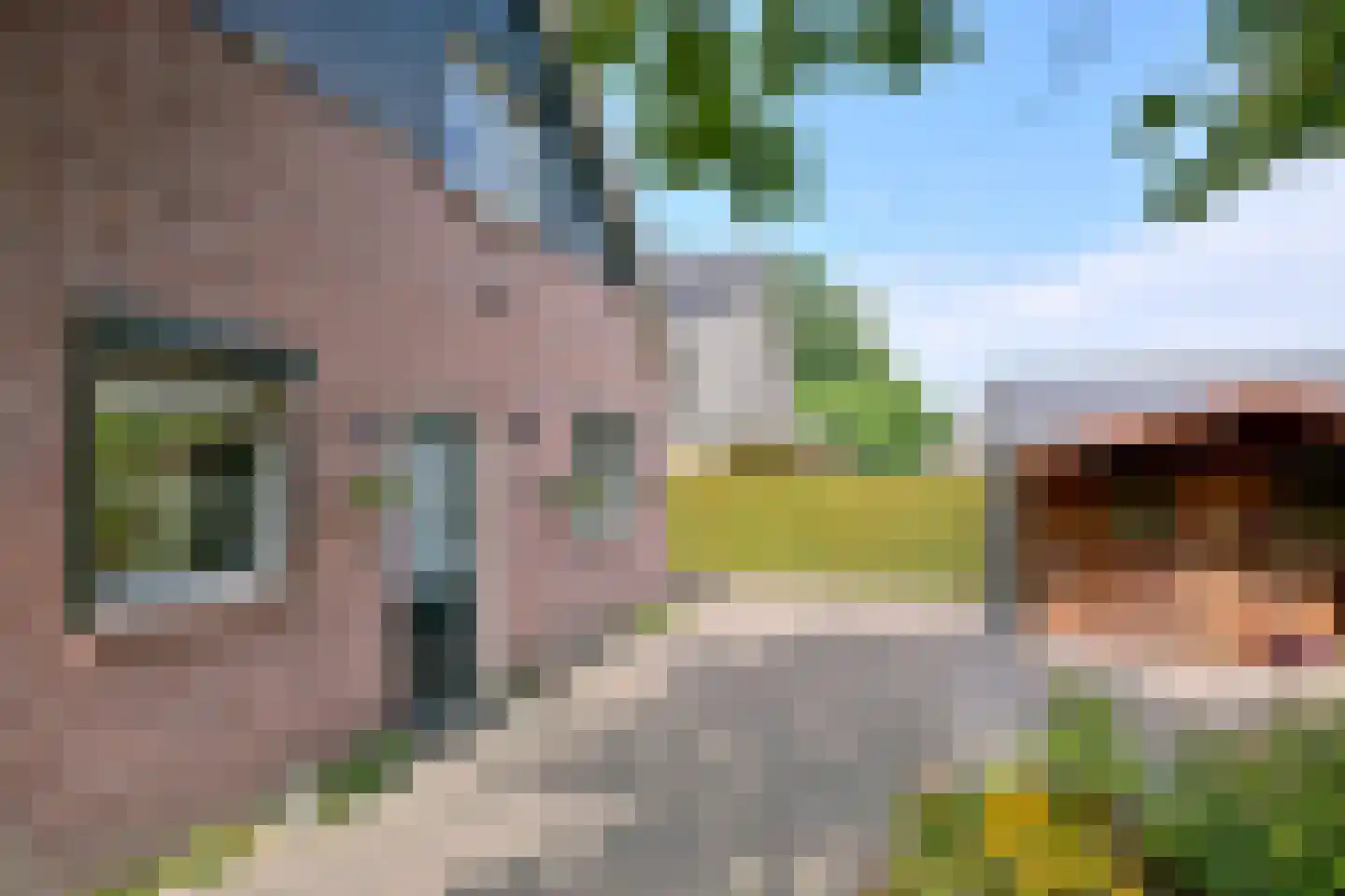 Cromhoutstraat 21 Brummen thumbnail 38