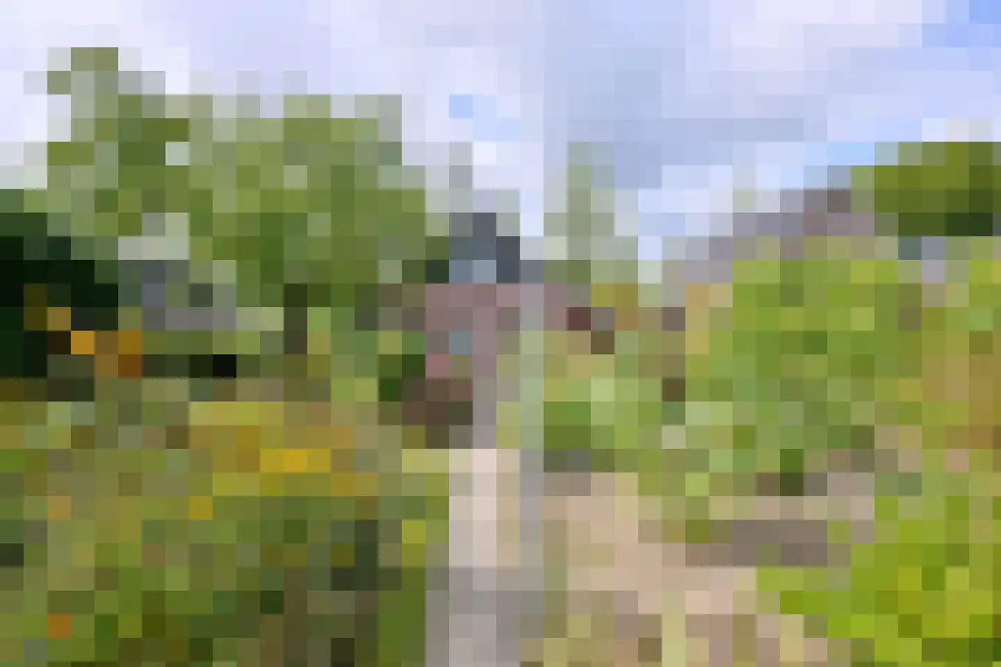 Cromhoutstraat 21 Brummen thumbnail 42