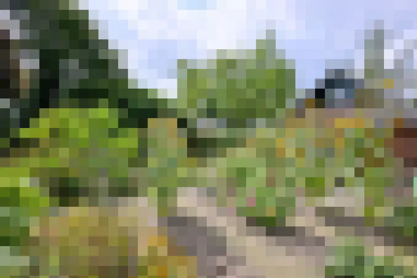 Cromhoutstraat 21 Brummen thumbnail 43
