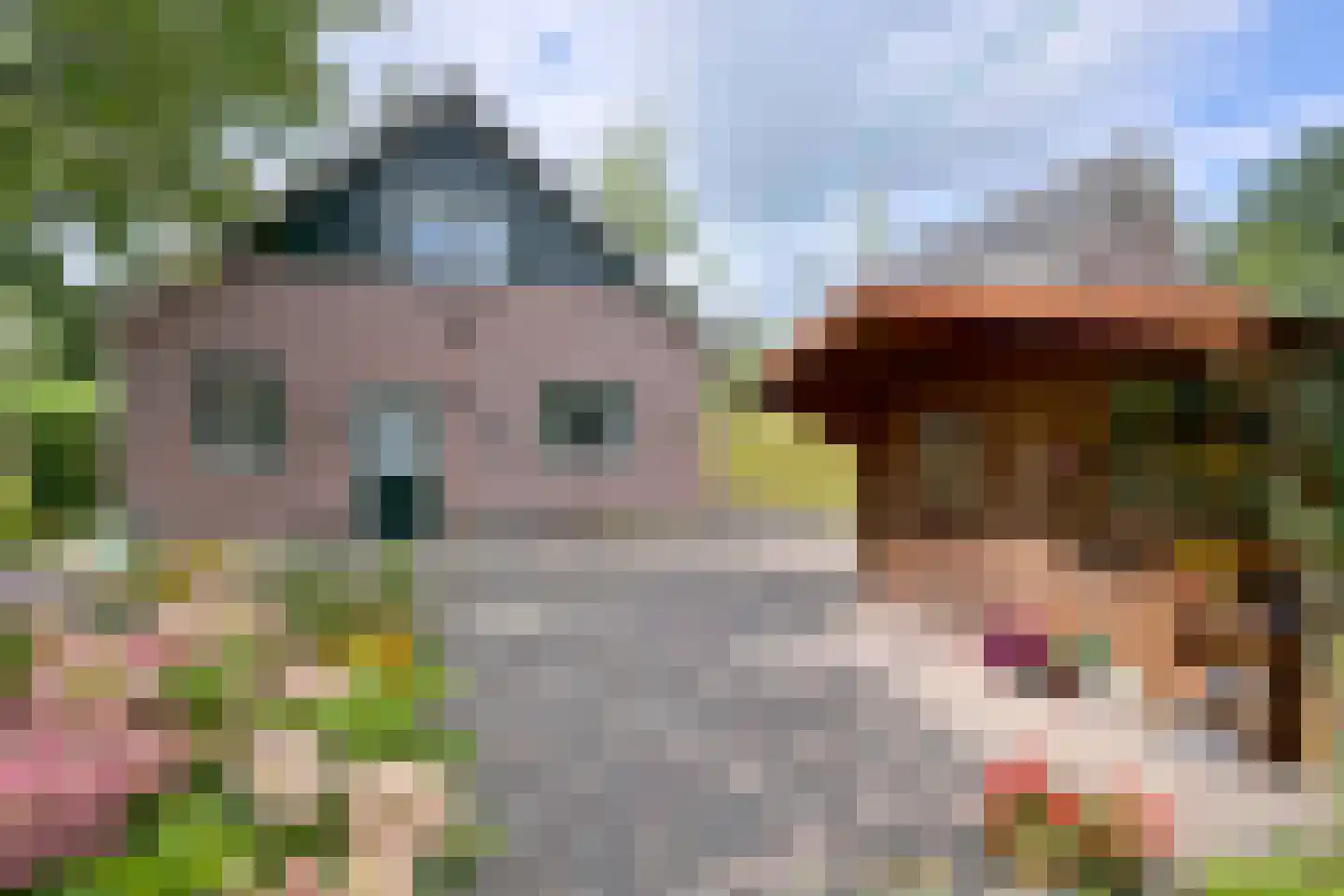 Cromhoutstraat 21 Brummen thumbnail 44