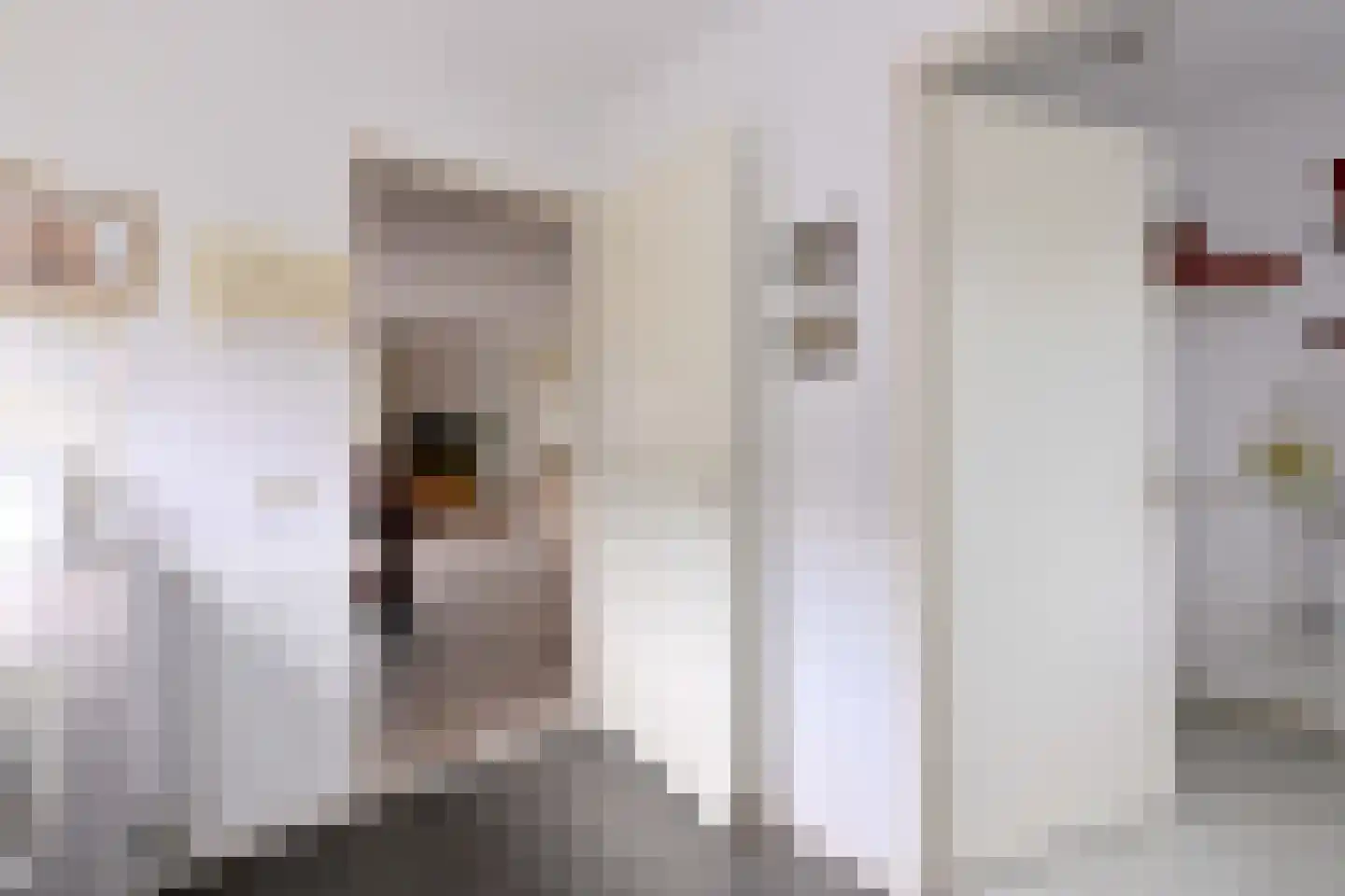 Cromhoutstraat 21 Brummen thumbnail 9