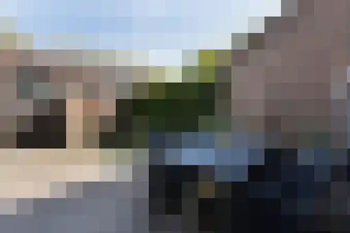 Cromme Ackerstede 38 Vaassen thumbnail 11