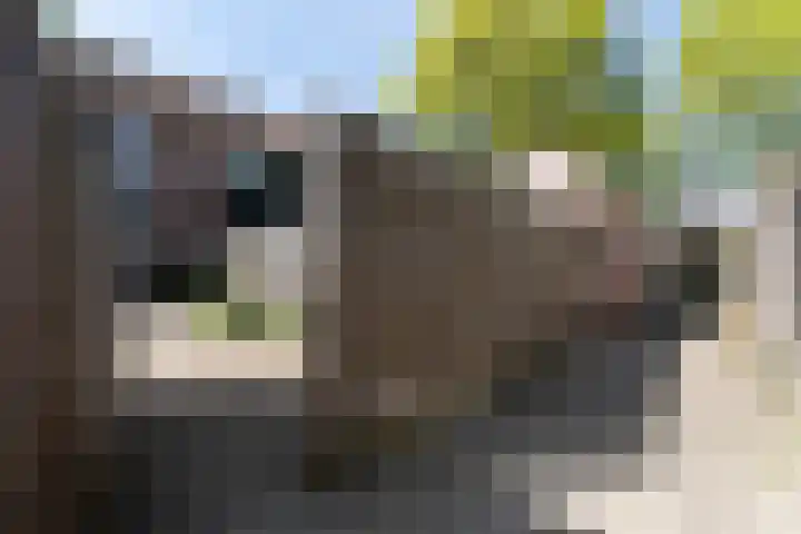 Cromme Ackerstede 38 Vaassen thumbnail 14
