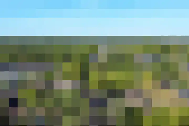 Cromme Ackerstede 38 Vaassen thumbnail 31
