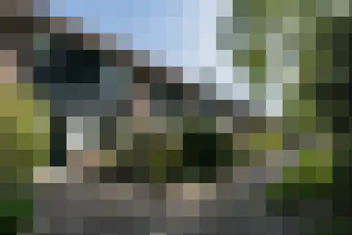 Cromme Ackerstede 38 Vaassen thumbnail 35