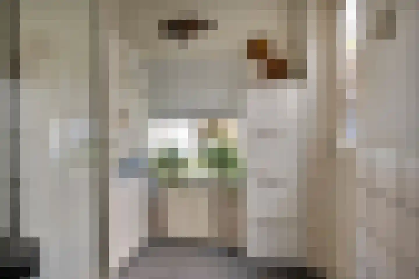 Cromme Ackerstede 58 Vaassen thumbnail 11