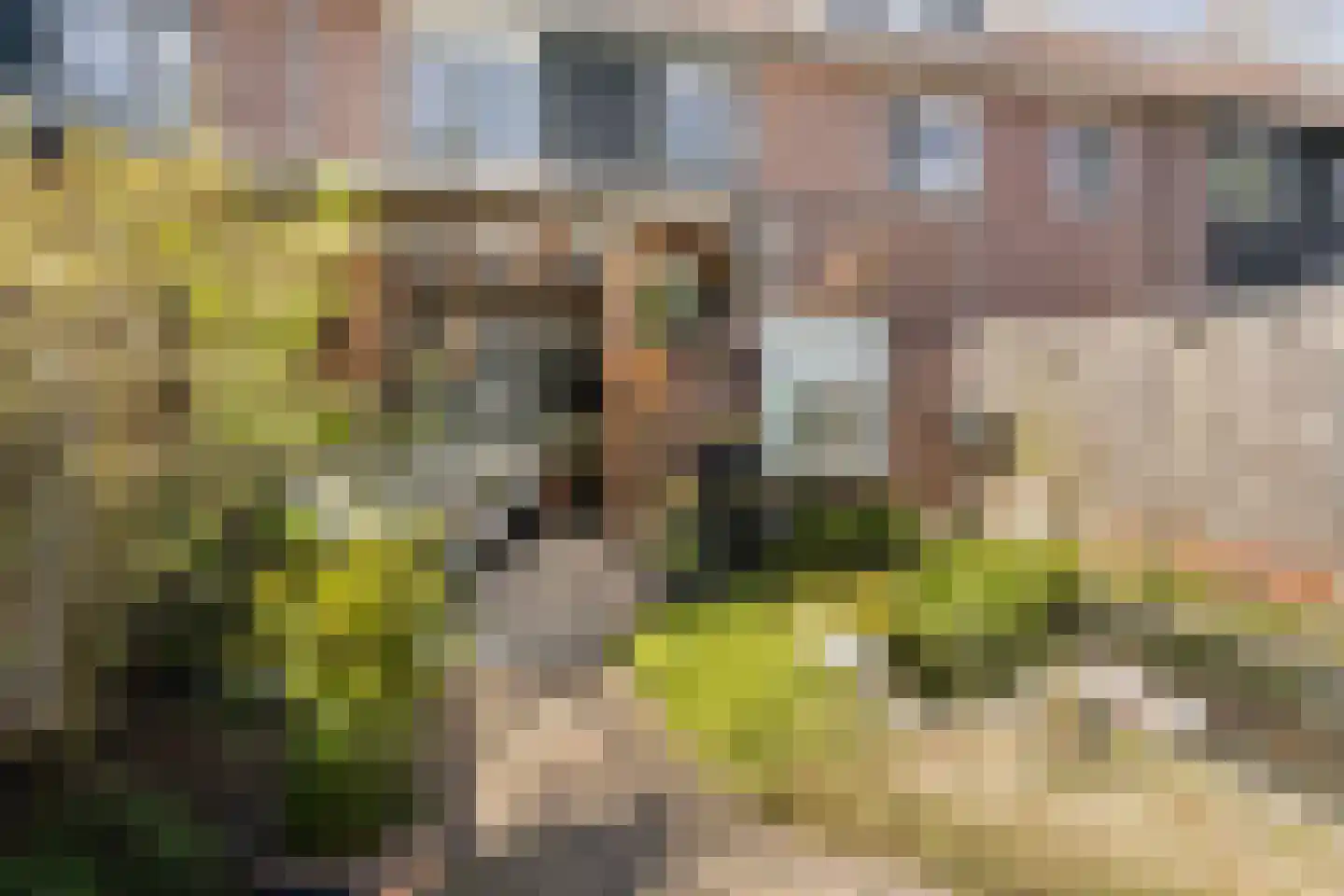 Cromme Ackerstede 58 Vaassen thumbnail 31