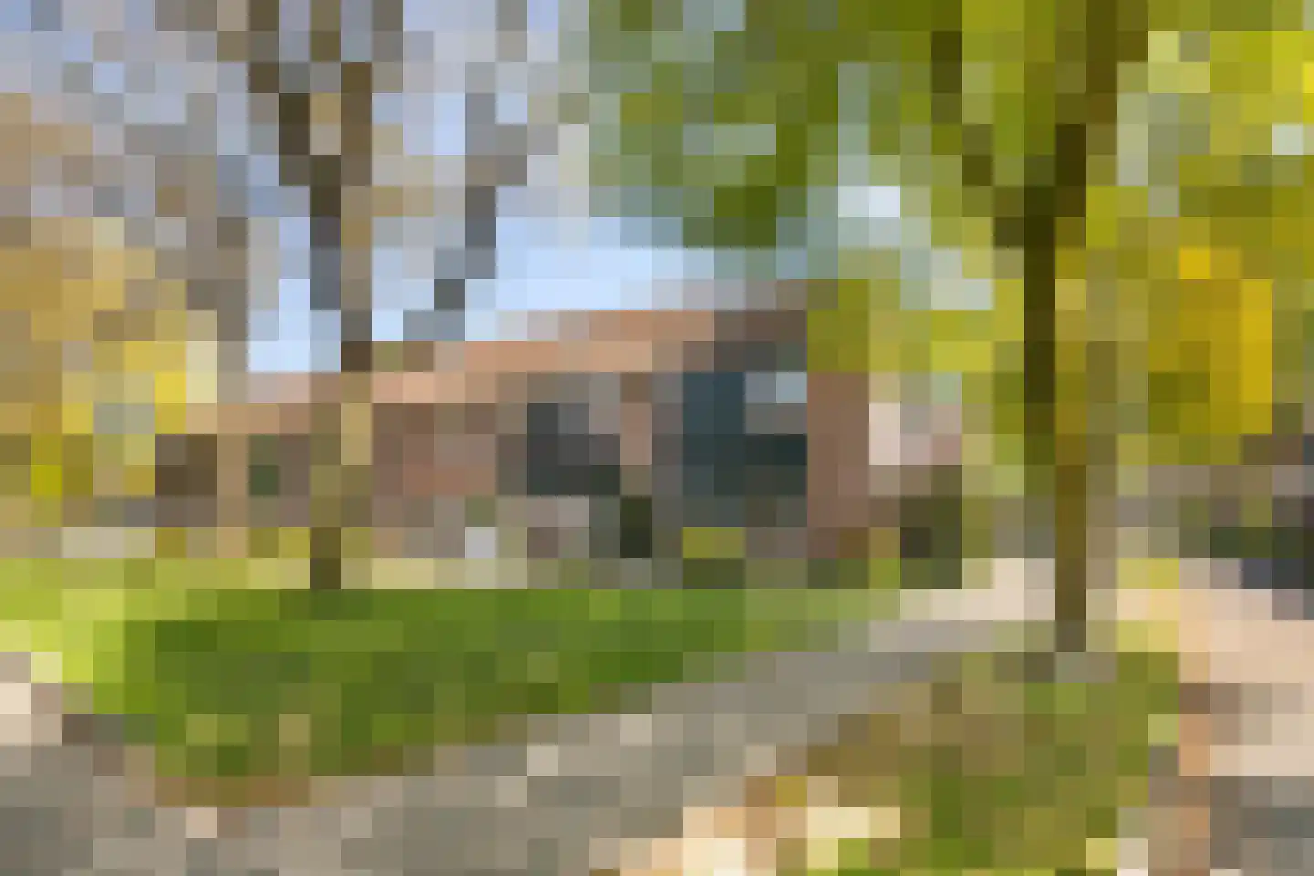 Cromme Ackerstede 58 Vaassen thumbnail 33