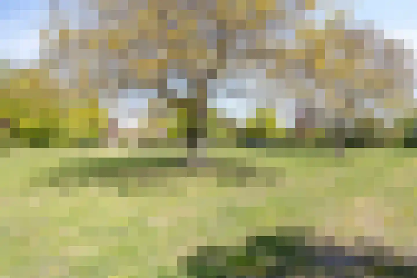 Cromme Ackerstede 58 Vaassen thumbnail 36