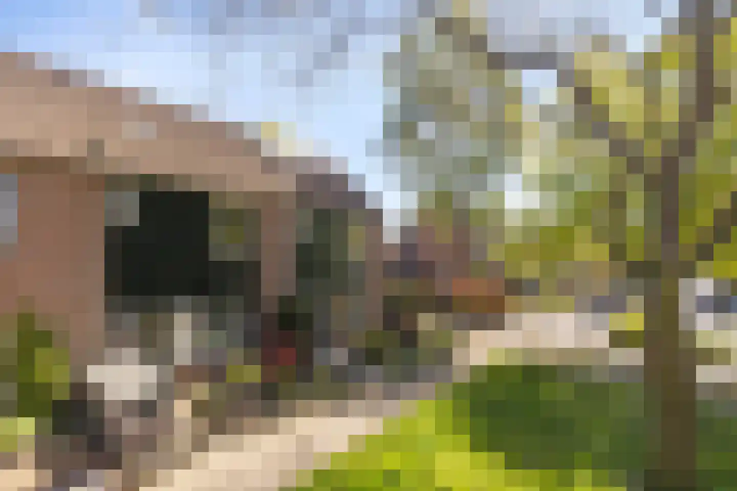 Cromme Ackerstede 58 Vaassen thumbnail 38