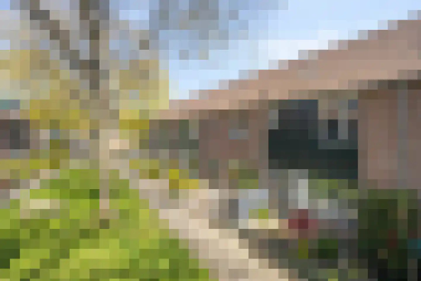 Cromme Ackerstede 58 Vaassen thumbnail 39