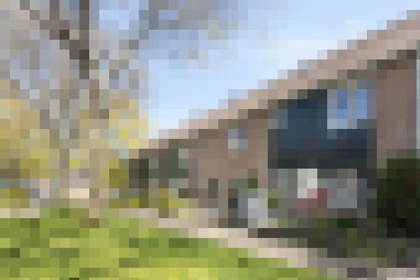 Cromme Ackerstede 58 Vaassen thumbnail 42