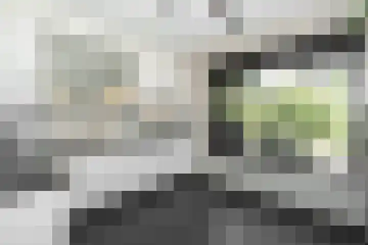 Cromme Ackerstede 72 Vaassen thumbnail 13