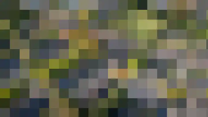 Cromme Ackerstede 72 Vaassen thumbnail 4
