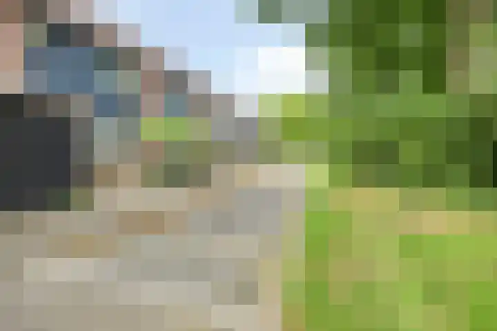 Cromme Ackerstede 76 Vaassen thumbnail 29