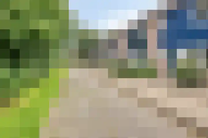 Cromme Ackerstede 76 Vaassen thumbnail 30